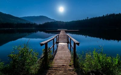 The Impact of Trauma