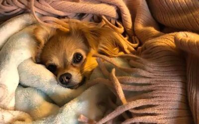 The Warmth of This Moment