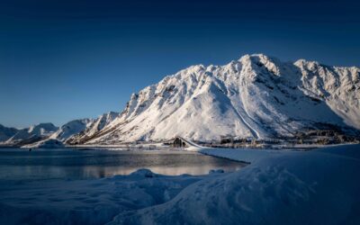 Triggers and Reactivity